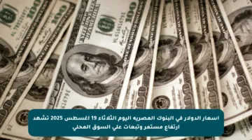 أسعار الدولار في البنوك المصرية اليوم الثلاثاء 19 أغسطس 2025 تشهد ارتفاع مستمر وتبعات على السوق المحلي